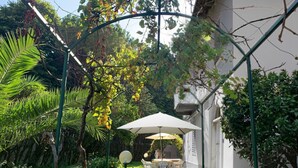A patio area with a table and chairs under a pergola, surrounded by lush greenery and a white building. - Apartment Sofia by Interhome (Moneglia)