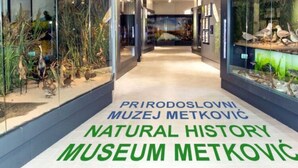 A corridor in the Natural History Museum Metkovic with glass display cases containing plant and bird exhibits. - Apartments Ema-two Bedroom Apartment With Sea View (Ploce)