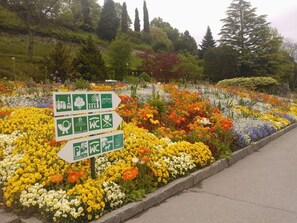 Exterior - Schuler Holiday Home (Immenstaad am Bodensee)