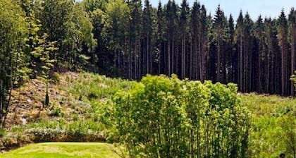 4 Person Holiday Home in Brastad