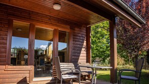 A wooden cabin with a patio area featuring a table and chairs, a glass door leading to a garden, and a brick floor. - Holiday Home in Hasselfelde (Oberharz am Brocken)