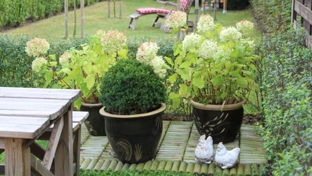 Un jardín con plantas en macetas, una mesa de madera y un banco.