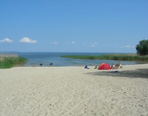 Casa | Vista desde la propiedad