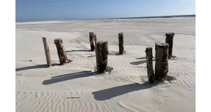 "sea Eagle" in the House on the Dune