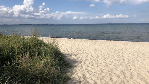 A sandy beach with a clear view of the sea and distant land. - Holiday Home Scheersbergkate (Steinbergkirche)