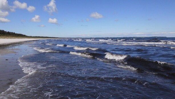 A beach with waves, a clear sky, and a distant shoreline. - Saupe Comfortable Holiday Residence (Schaprode)