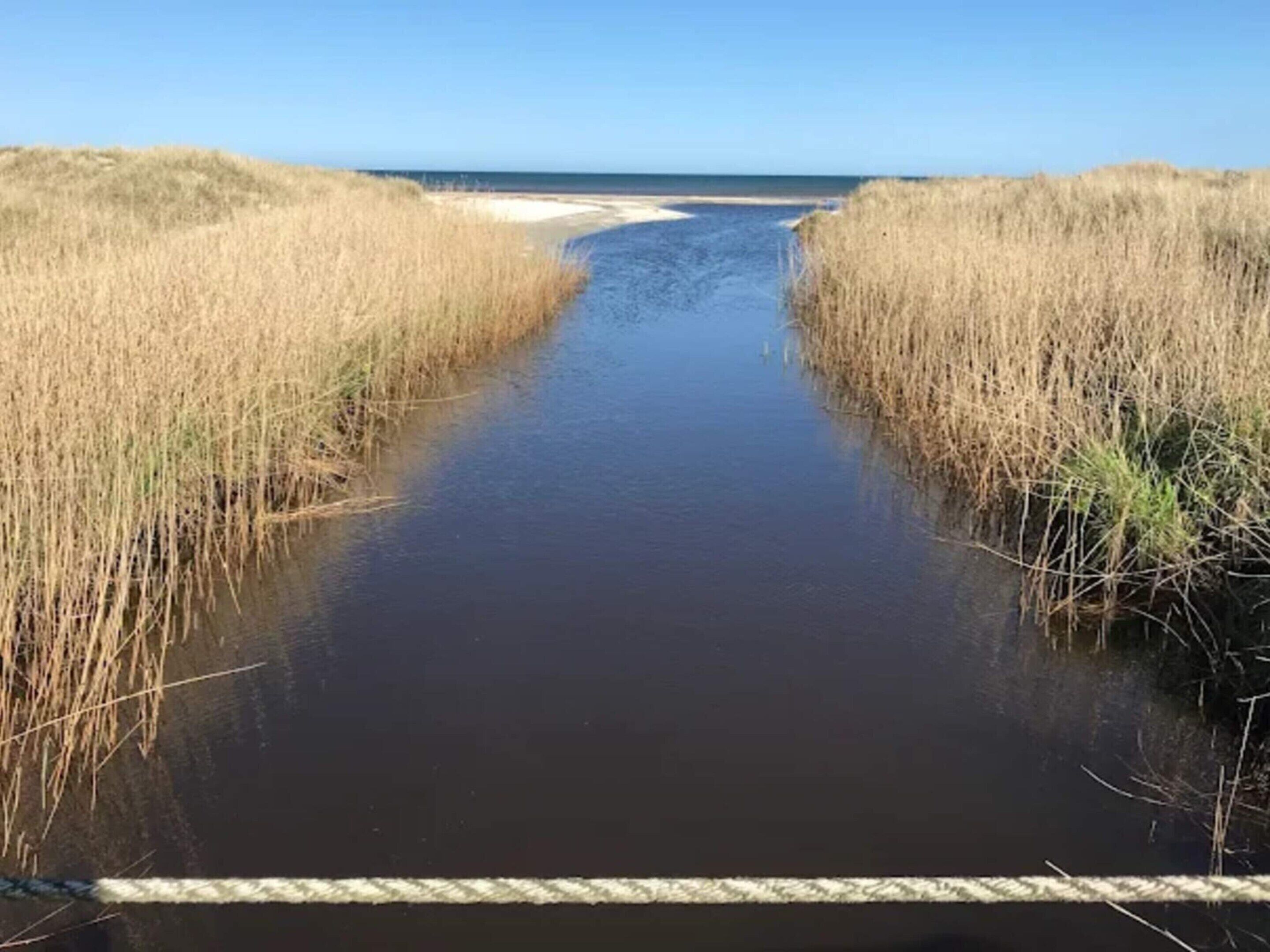 A narrow water channel flanked by tall grasses leading to a beach.