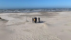 A beach with a clear sky and a few people standing on the sand. - 4 Star Holiday Home in Saltum (Saltum)