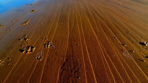 Ein Strand mit glattem, feuchtem Sand und Fußspuren.