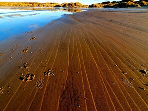 Une plage au sable fin et humide, parsemée d'empreintes.