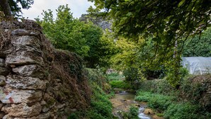 A stone wall, a small stream, and lush greenery. - Chalet in Toba With Garden & Fireplace (Frias)