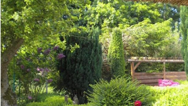 Un sentier de jardin avec un banc en bois, bordé de haies soigneusement taillées et de plantes en fleurs.