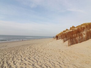 Enjoy a serene beach scene with a clear view of the sea and a natural dune in the background.