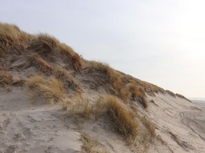 A sandy beach with dunes and sparse vegetation. - Nice House on the Golf Course With Sauna (Hollum)