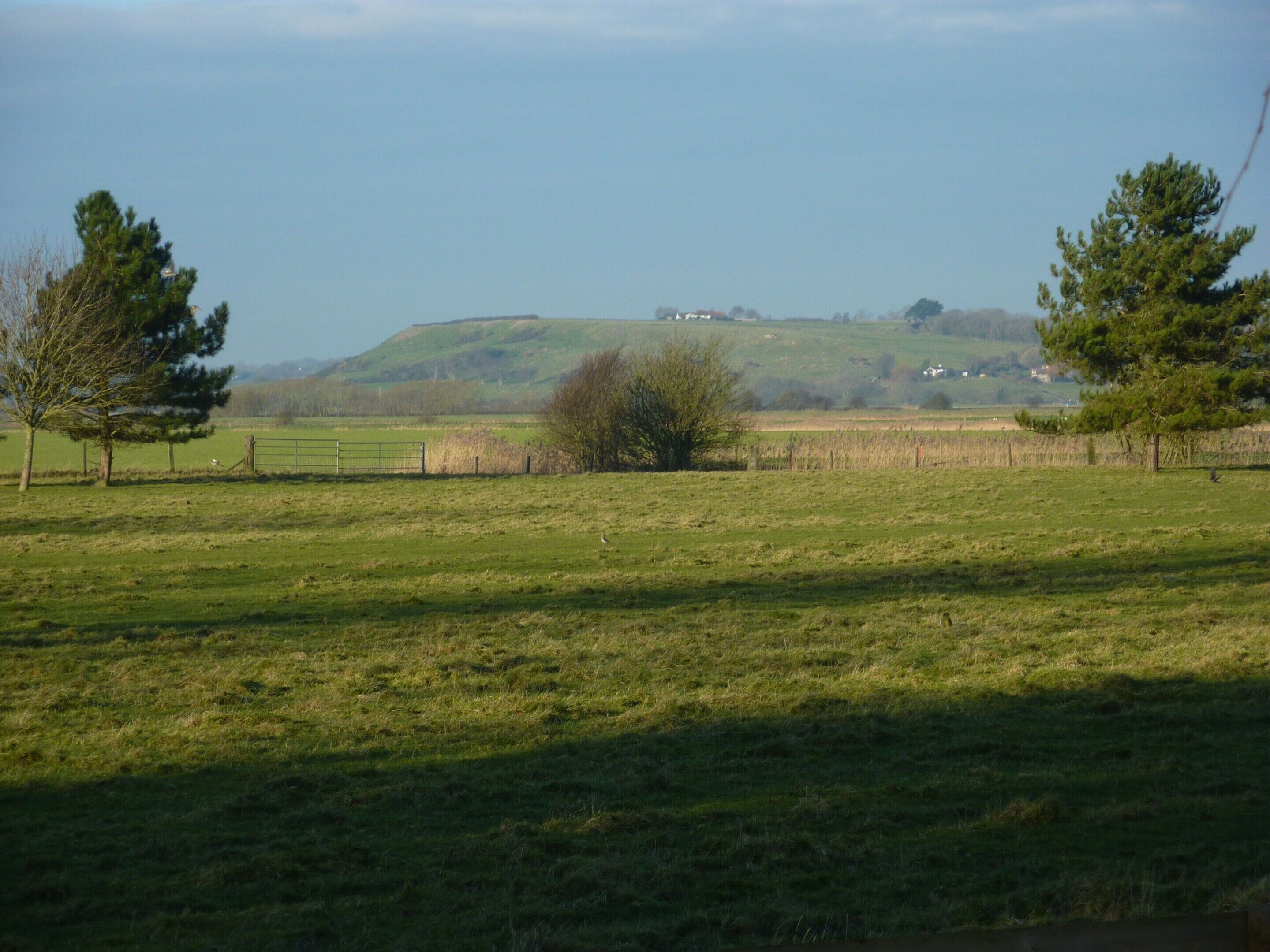 Paisaje rural con campos abiertos, algunos árboles dispersos y colinas lejanas.