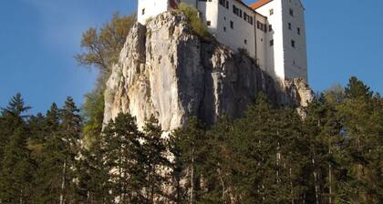 Baldauf Modern Retreat