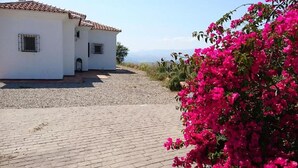 Un bâtiment blanc avec un toit recouvert de tuiles, une allée gravillonnée et un arbuste aux fleurs roses.