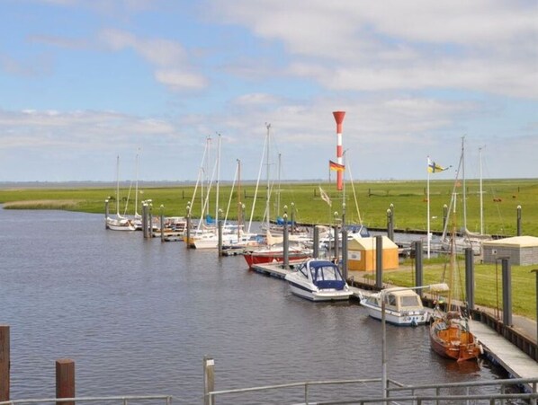 Mooring buoys line the marina, where sailboats and motorboats are docked.