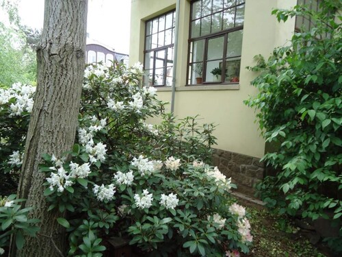 in the Musicians' Quarter