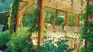 Un espace extérieur aménagé, abrité et doté de poutres en bois et d’une structure en treillis, entouré d’une végétation luxuriante et bordé d’un chemin en briques.