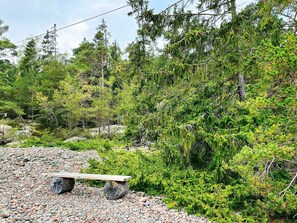 Een natuurlijk landschap met een houten bankje aan een grindpad, omgeven door weelderige begroeiing en bomen.