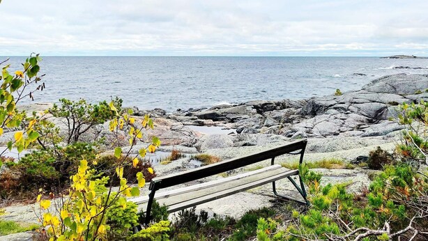 A bench overlooking a rocky shoreline with a view of the sea.