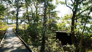 A wooden boardwalk through a forested area with a small structure on the right. - 5 Star Holiday Home in Lysekil (Lysekil)