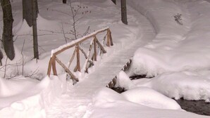 A wooden bridge over a snow-covered stream in a forest.