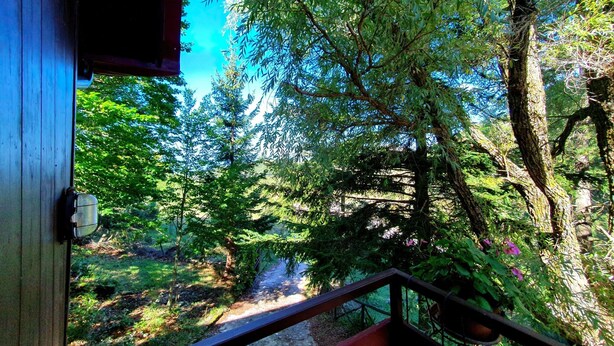 A wooden deck with a railing overlooking a forested area with a clear blue sky. - Belvilla by OYO La Baita (Polino)