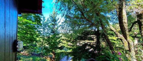 Maison | Vue depuis l’hébergement