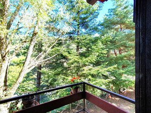Casa | Vista desde la propiedad