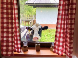 View from property - Alpine Hut Hannah Comfortable Vacation Home (Hermagor-Pressegger See)