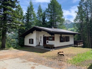 Exterior - Alpine Hut Hannah Comfortable Vacation Home (Hermagor-Pressegger See)