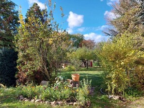 A garden with a variety of plants and trees, a wooden fence, and a clear sky. - Zonnehof in het Geiseltal (Mücheln (Geiseltal))