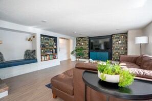 TV, fireplace, DVD player, books