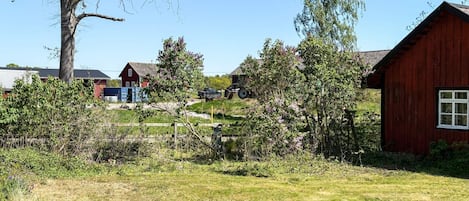 Un paysage rural avec une grange rouge, un bâtiment blanc et un arbre.