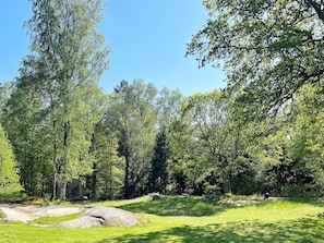A natural landscape with trees, a grassy area, and a large rock formation.