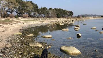 Playa en los alrededores