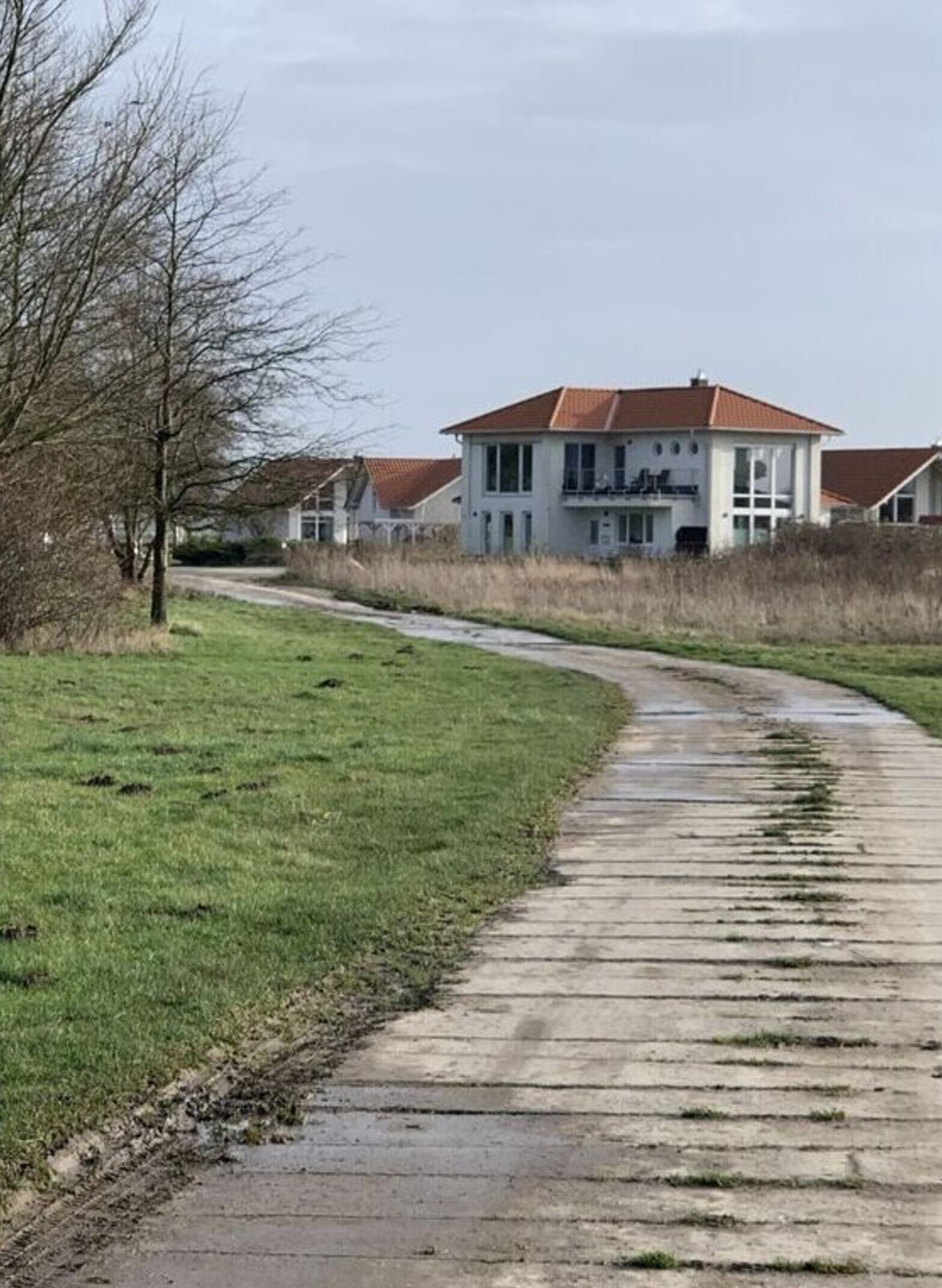A residential area with houses, a curved concrete path, and a grassy field.