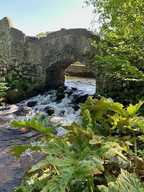 Een stenen brug over een stromende rivier, omringd door weelderige begroeiing.