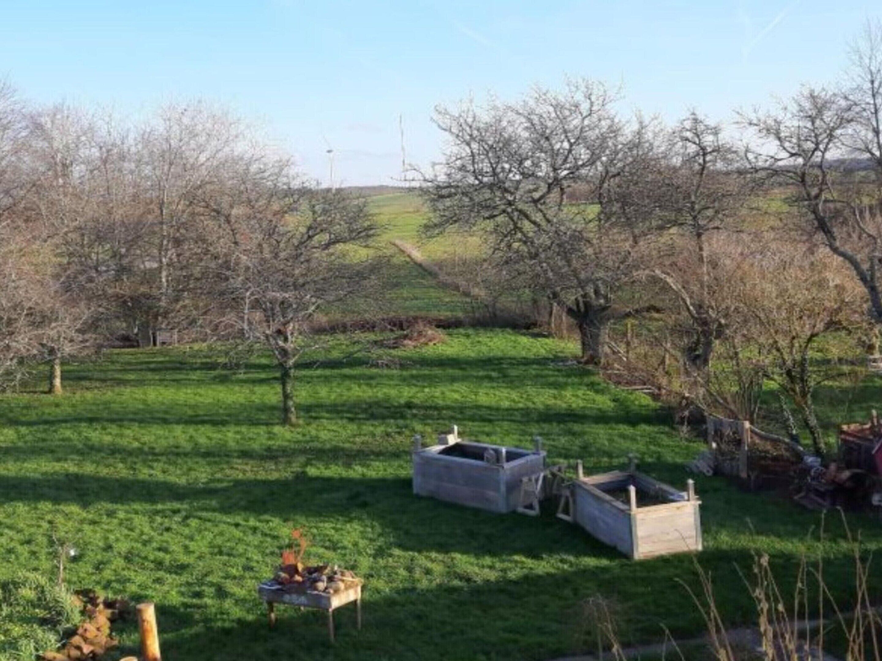 A grassy field with trees and a small fire pit.