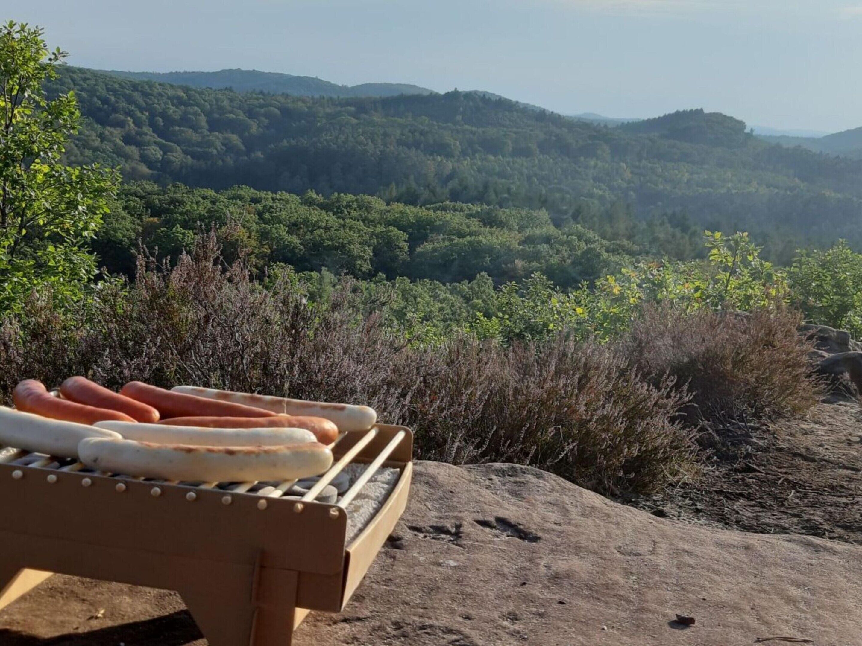 Un banco de madera con vistas a un valle boscoso y una perspectiva despejada de colinas distantes.