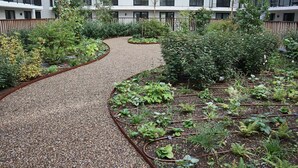Un cortile con un vialetto sterrato, circondato da diverse piante e un edificio con balconi sullo sfondo.