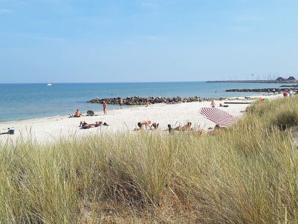 House | Beach