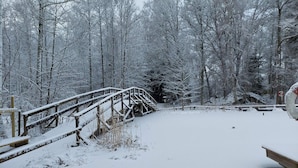 Un pont de fusta cobert de neu en un bosc.