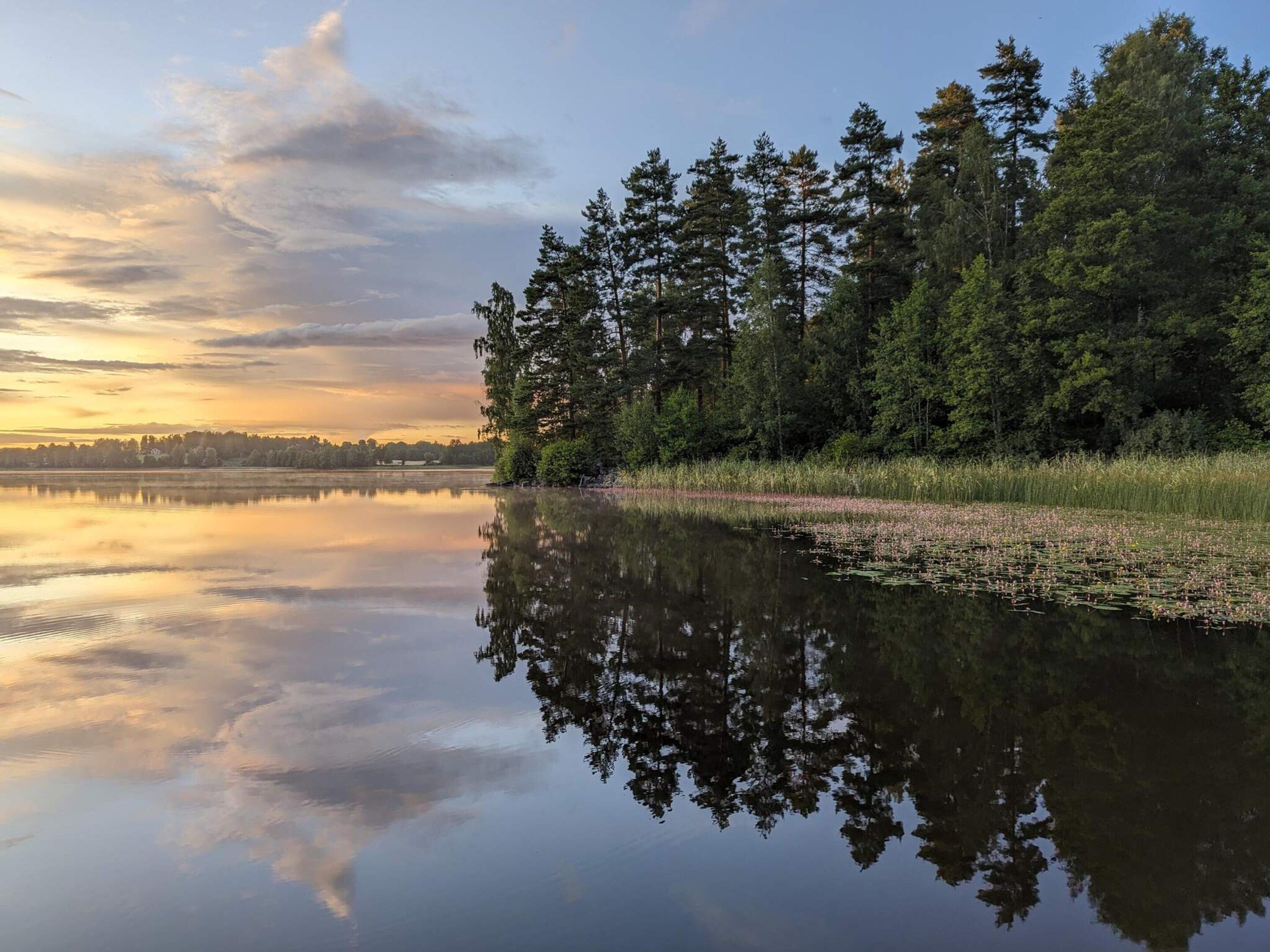 En rolig sø med tæt skov på den ene side og en klar himmel.
