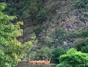 Un bateau traditionnel navigue sur une rivière, entouré d’une végétation luxuriante et d’un paysage rocheux.