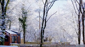 Exterior - Romantic Holiday Home in Hoogersmilde With Garden (Hoogersmilde)