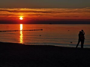 Beach - Red Beech Modern Retreat (Zingst)