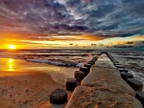 Beach - Red Beech Modern Retreat (Zingst)